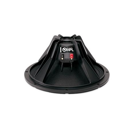 [DST-20133] WOOFER 32 Cm 4 Ohm FBT 12HPL64 MAXX 4A RICONDIZIONATO