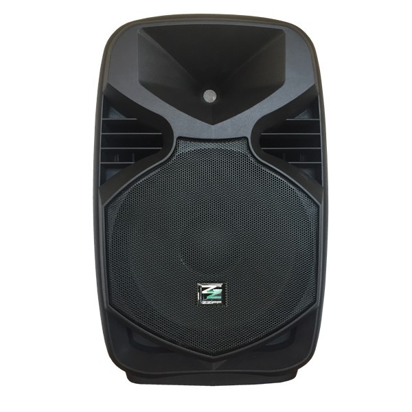 CASSA ACUSTICA AMPLIFICATA 8" BLUETOOTH